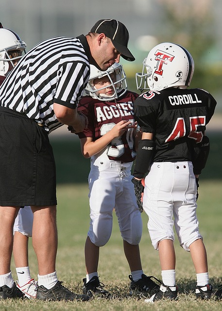 坦近年来进 坦近年来进