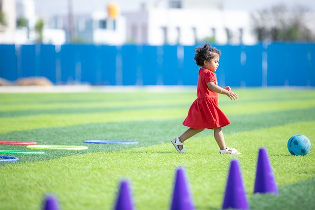 是台湾乒乓 是台湾乒乓