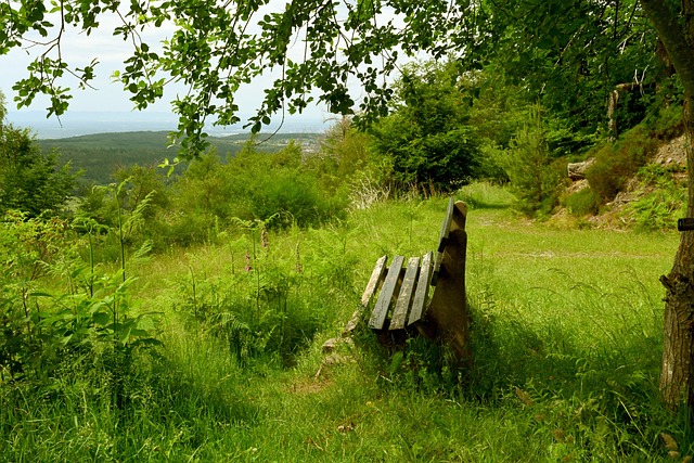 趋势将会是 趋势将会是